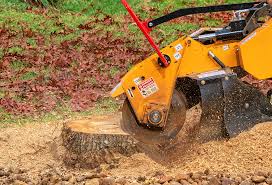 Best Lawn Drainage Solutions  in Santa Clara, UT