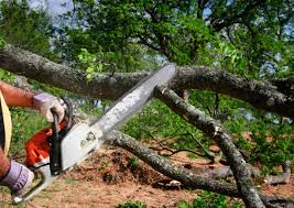 Best Commercial Tree Services  in Santa Clara, UT